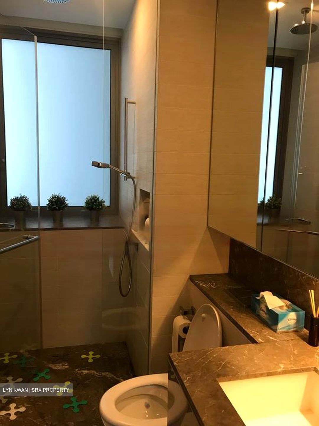 Hilltops (D9), Condominium #484199551